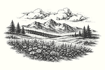 Beautiful landscape sketch of a lush wildflower meadow in the foreground with high mountain ranges for botanical and serene nature environmental themes. © Chairul
