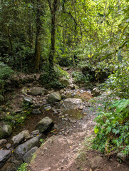 Fototapeta premium Dirt hiking path crossing a shallow rocky stream on the Torean Trail at Mount Rinjani