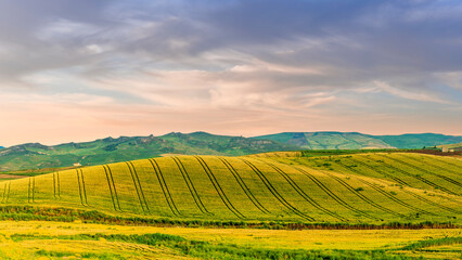 amazing golden summer landscape of beautiful golden wheaten field with scenic farmland view to picturesque hills and colorful sunset cloudy sky on background © Yaroslav