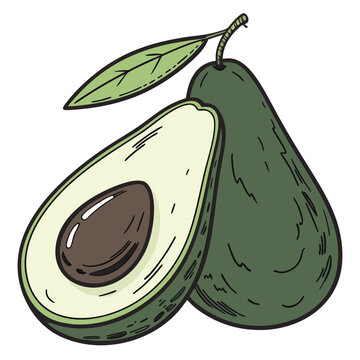 Whole and halved avocado with leaf on white background fruit green