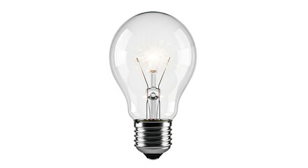 Glowing light bulb&mdash;symbolizing youth ideas, creativity, innovation, and the bright, forward‑looking spirit of International Youth Day.
