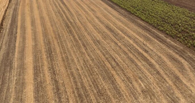Aerial perspective of diverse agricultural fields shows a vibrant patchwork of gold stubble, dark tilled soil, and green crops. The parallel lines create a rhythmic, natural texture. Aerial close-up.