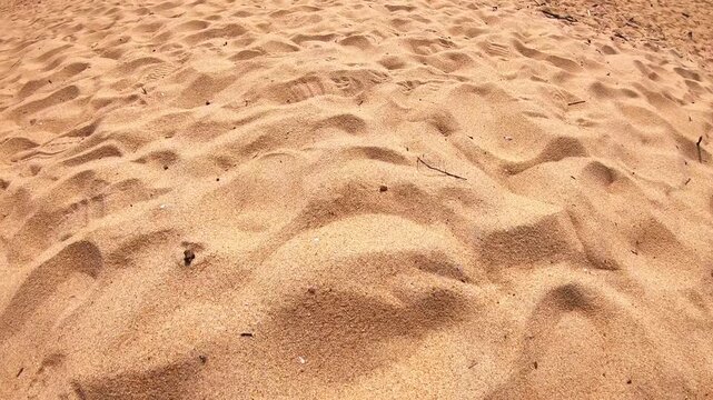 Sand dunes shifting under sunlight, showcasing the dynamic texture and patterns of the grains, capturing the essence of natural beauty and movement in a serene environment