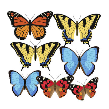 Butterfly Collection Bundle vector butterfly illustration including monarch bu 1 gigapixel art height 4000px.eps, Wildlife Animal Vector Illustration Bundle, Isolated Design Set