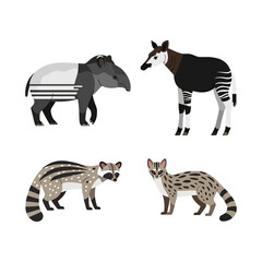 Obraz premium Exotic Mammals Bundle animal vector set including tapir, okapi, civet, genet, 1 gigapixel art height 4000px.eps, Wildlife Animal Vector Illustration Bundle, Isolated Design Set