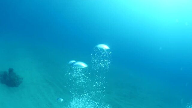 bubbles slow motion underwater coming up to surface with sun beams scenery dark blue backgrounds