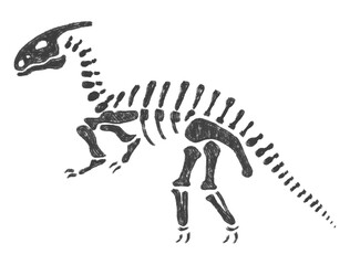 dinosaur fossils © Doaibu_PNG