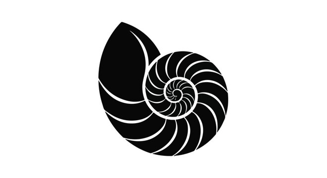 Nautilus shell vector illustration showcasing the perfect logarithmic spiral pattern, symbolizing natural growth and mathematical harmony, presented as a sleek black graphic on a clean white.