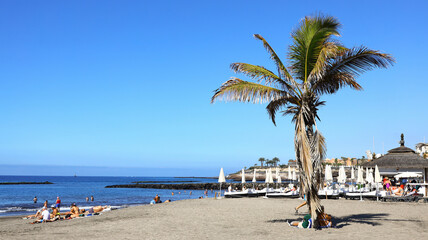Obraz premium sunlit beach lined with tall palms and rows of white loungers facing the calm blue sea, where soft waves meet warm sand under a clear sky that creates a relaxed and inviting summer atmosphere for quie