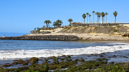 Fototapeta premium rocky coastal stretch on Tenerife where waves break against dark stones below a sunny cliff lined with palms, creating a bright holiday travel mood