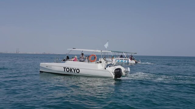 High angle view of a sturgeon swimming in a circular tank at an industrial aquaculture farm.