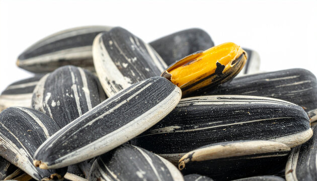 Extreme close-up of striped sunflower seeds with a single open seed showing yellow kernel