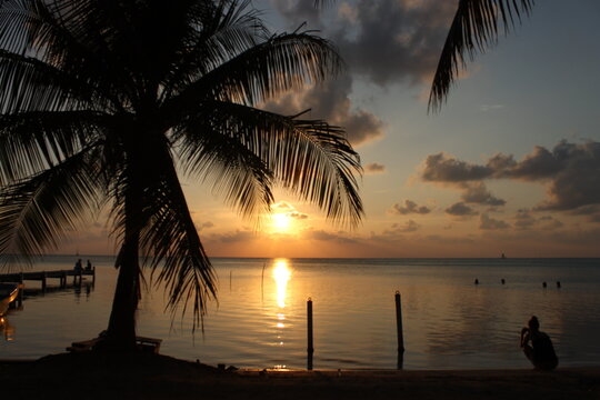 Sunset with Palm Tree in Caye Caulker, Belize &ndash; Caribbean Tropical Beach