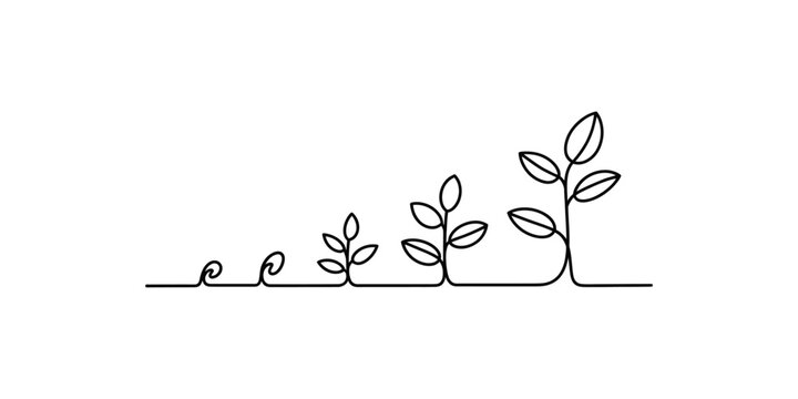 Continuous line drawing illustrating the stages of plant growth from seed to mature seedling Vector, illustration