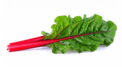 Single swiss chard leaf with red stem and water droplets on white background