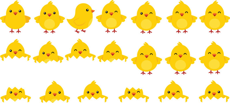 Cute yellow chick cartoon collection with baby chicken characters in different poses, adorable farm animal vector illustration set for kids design