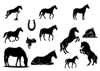 Fototapeta premium Black Horse Silhouette Set Featuring Various Poses Jumping Galloping Rearing and Equestrian Equipment Isolated on White Background