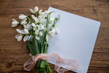 Empty card with snowdrops flowers on wooden background © boryanam