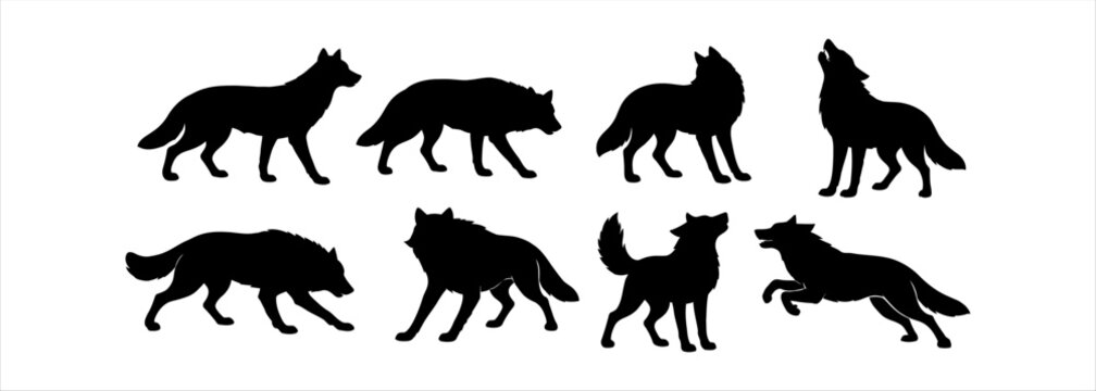 Silhouette wolf pack in various poses against a white background