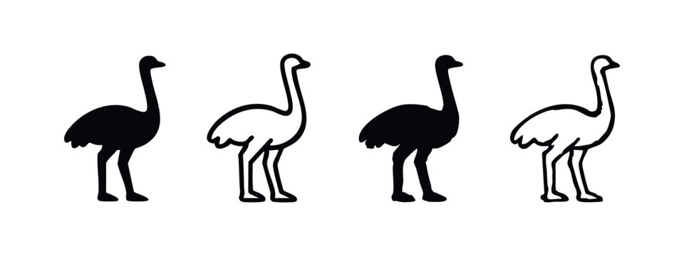 Stylized ostrich icon set. Black silhouette and outline of a flightless bird on a white background. Vector illustration.