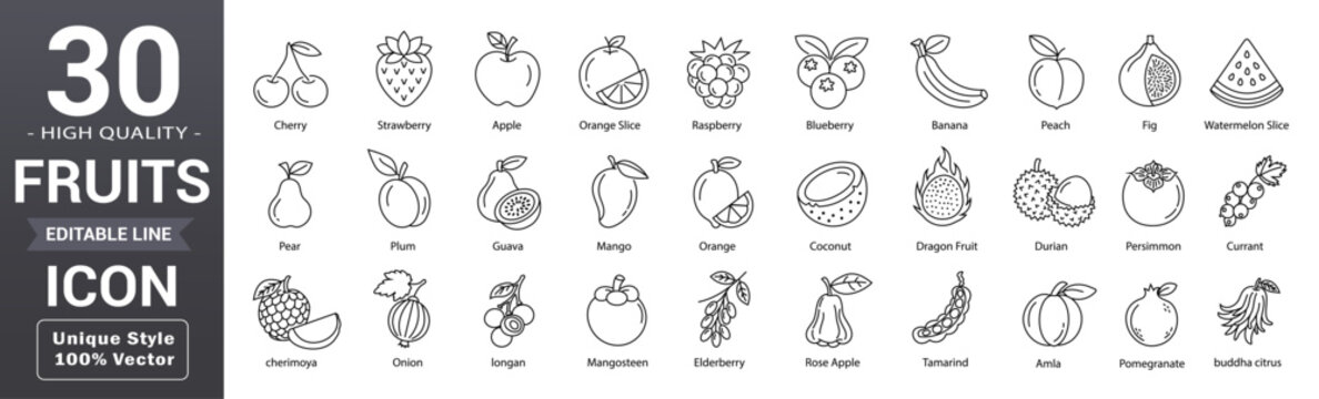 Fruit line icon set. Editable outline with pineapple, apple, mango, cherry, lemon, orange, coconut, watermelon, strawberry, grape, and more collection. Vector illustration.