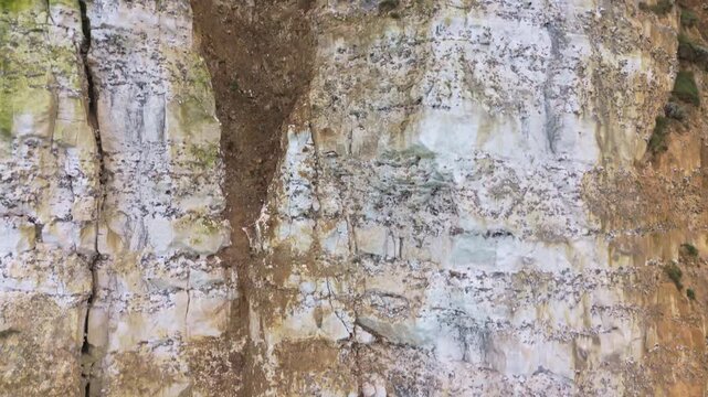 Aerial slow pan of vertical chalk cliff face revealing erosion and seabird colonies on coastal bluff
