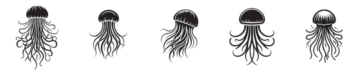 Fototapeta premium jellyfish vector with silhouette style