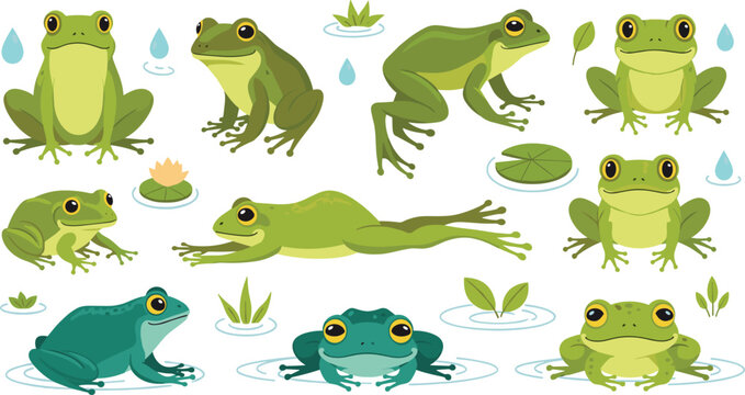 Cute Frog Collection with Various Poses Sitting Jumping and Swimming, Cartoon Amphibian Animal Vector Illustration Set with Lily Pads and Water Elements