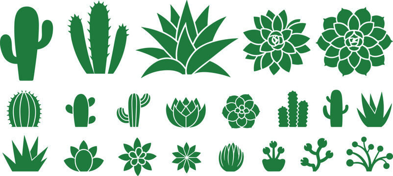 Green cactus and succulent vector icon collection featuring agave aloe prickly pear and desert houseplant silhouettes for botanical nature designs.