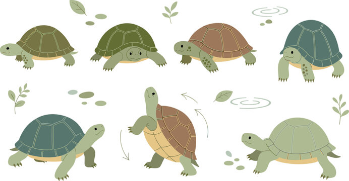 Cute Turtle Cartoon Vector Set with Different Tortoise Characters Walking Swimming and Smiling with Nature Leaves and Pond Elements