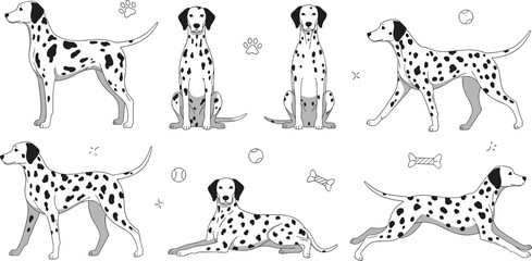 Fototapeta premium Dalmatian Dog Cartoon Vector Set with Different Poses Sitting Standing Running and Lying with Spots Paw Prints and Bone Elements