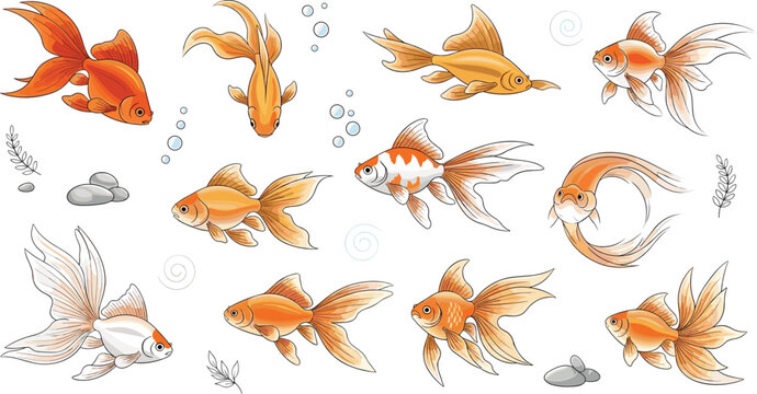 Elegant Goldfish Collection with Flowing Fins and Swimming Poses, Decorative Aquarium Fish Vector Illustration Set with Bubbles and Water Elements
