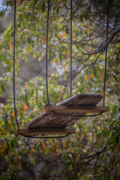 Tree top adventure course with wooden planks and ropes in a forest setting for climbing and exploring near the ground