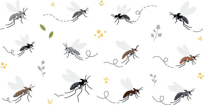 Mosquito Insect Vector Set with Flying Mosquitoes Showing Different Flight Paths Wings and Small Nature Elements Pest Illustration Isolated on White Background
