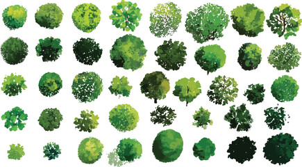 Fototapeta premium Diverse green trees viewed from above in a down perspective with varied shapes and shades