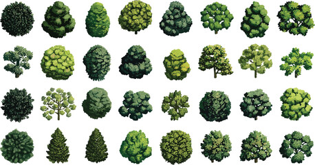 Collection of diverse green trees in various shapes and sizes nature foliage © Pixel Park