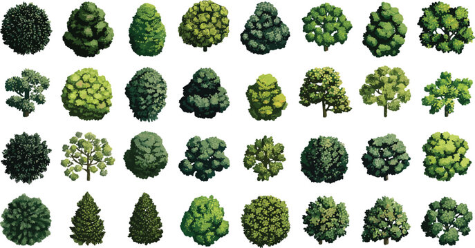 Collection of diverse green trees in various shapes and sizes nature foliage