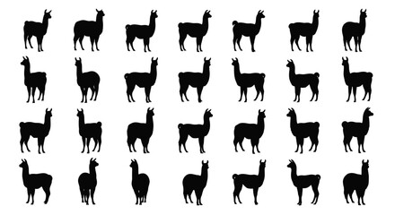 Multiple llama silhouettes in various poses on white background for design use © Dipan