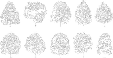 Ten black and white line of various deciduous trees with detailed foliage and trunks nature plant © Pixel Park