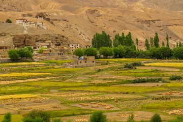Fototapeta premium Wheat field and Himalayan village at Fotu La, high mountain pass on the Srinagar-Leh highway in Ladakh, India. It is the highest point on this highway, located within the Zanskar Range.