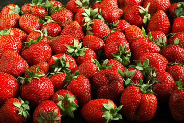Pile of Fresh Ripe Strawberries Close Up View