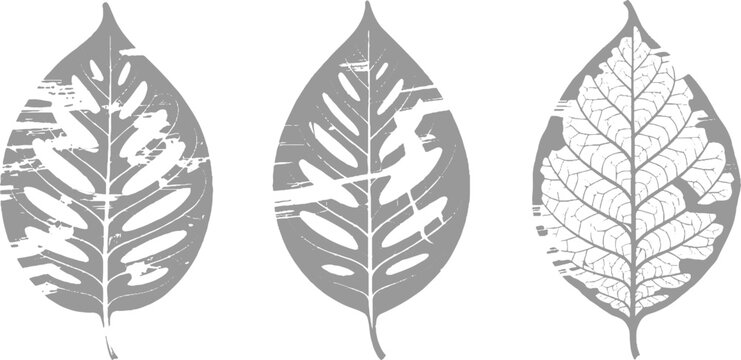 Three grey leaf silhouettes with distressed textures and vein patterns white