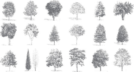 Naklejka premium Collection of diverse grey trees rendered in stippling style on a white background. Various tree shapes and sizes are depicted