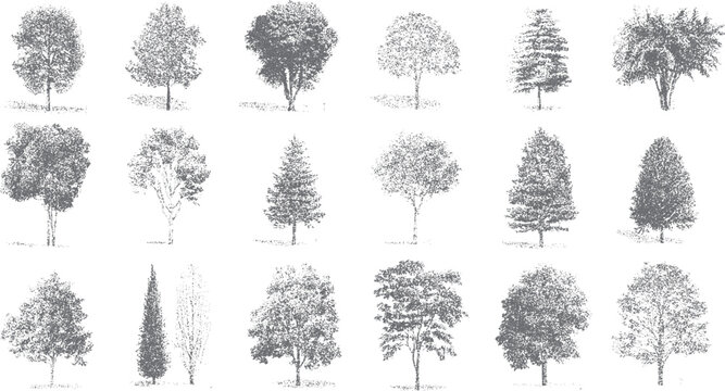 Collection of diverse grey trees rendered in stippling style on a white background. Various tree shapes and sizes are depicted