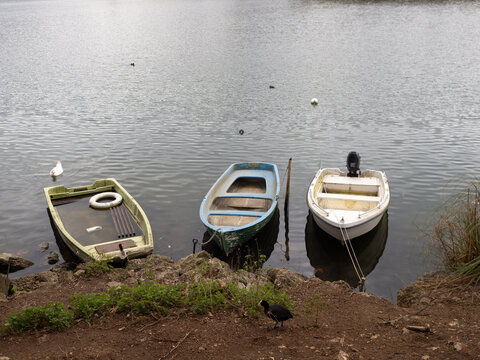 Barche a remi ormeggiate sulla riva del Lago di Piediluco in inverno, Terni, Umbria.