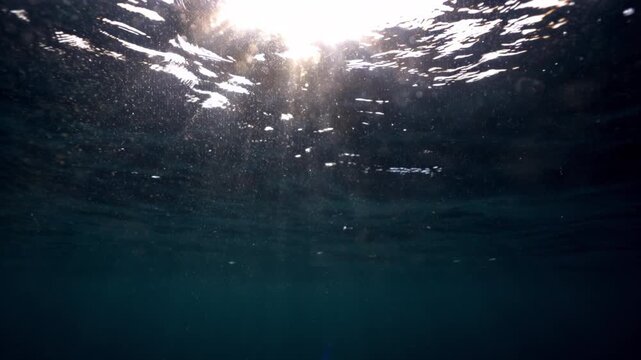 Underwater light creates a beautiful veil, consisting of sunlight. Underwater ocean waves oscillate and flow with the rays of light. Copy space background. Beautiful blue calm wave sparkling