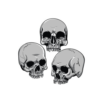 Skull and crossbones on black background vector illustration