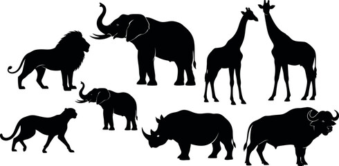 Silhouette of various african animals on a white background featuring a lion elephant giraffe and more in black silhouette © MSTSHAMSUN