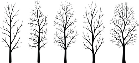 Obraz premium Black deciduous tree silhouette vector set with various bare branch patterns for landscape architecture and forest