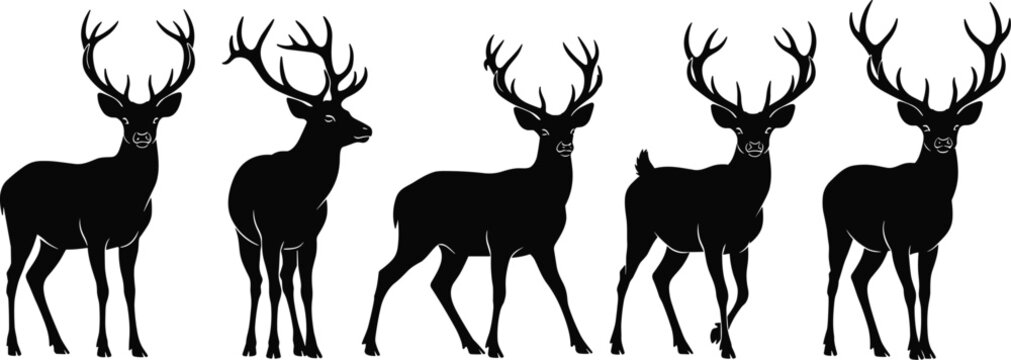 Deer silhouette set, stag wildlife animal collection, black forest deer vector illustration, standing buck shapes, nature hunting design elements